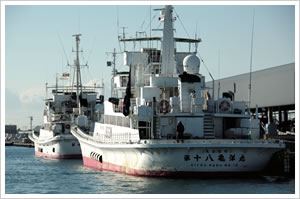 遠洋カツオ一本釣り漁