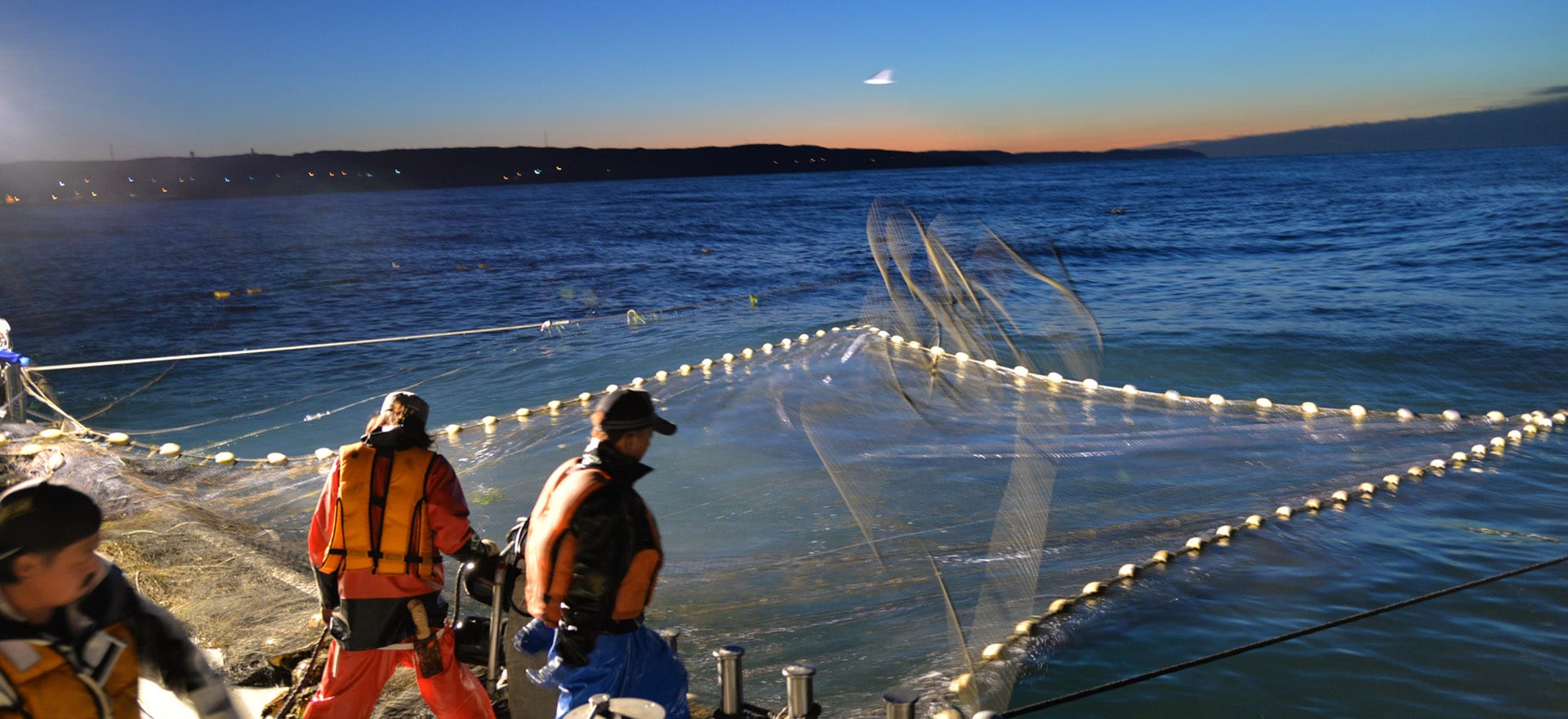 沿岸漁業について