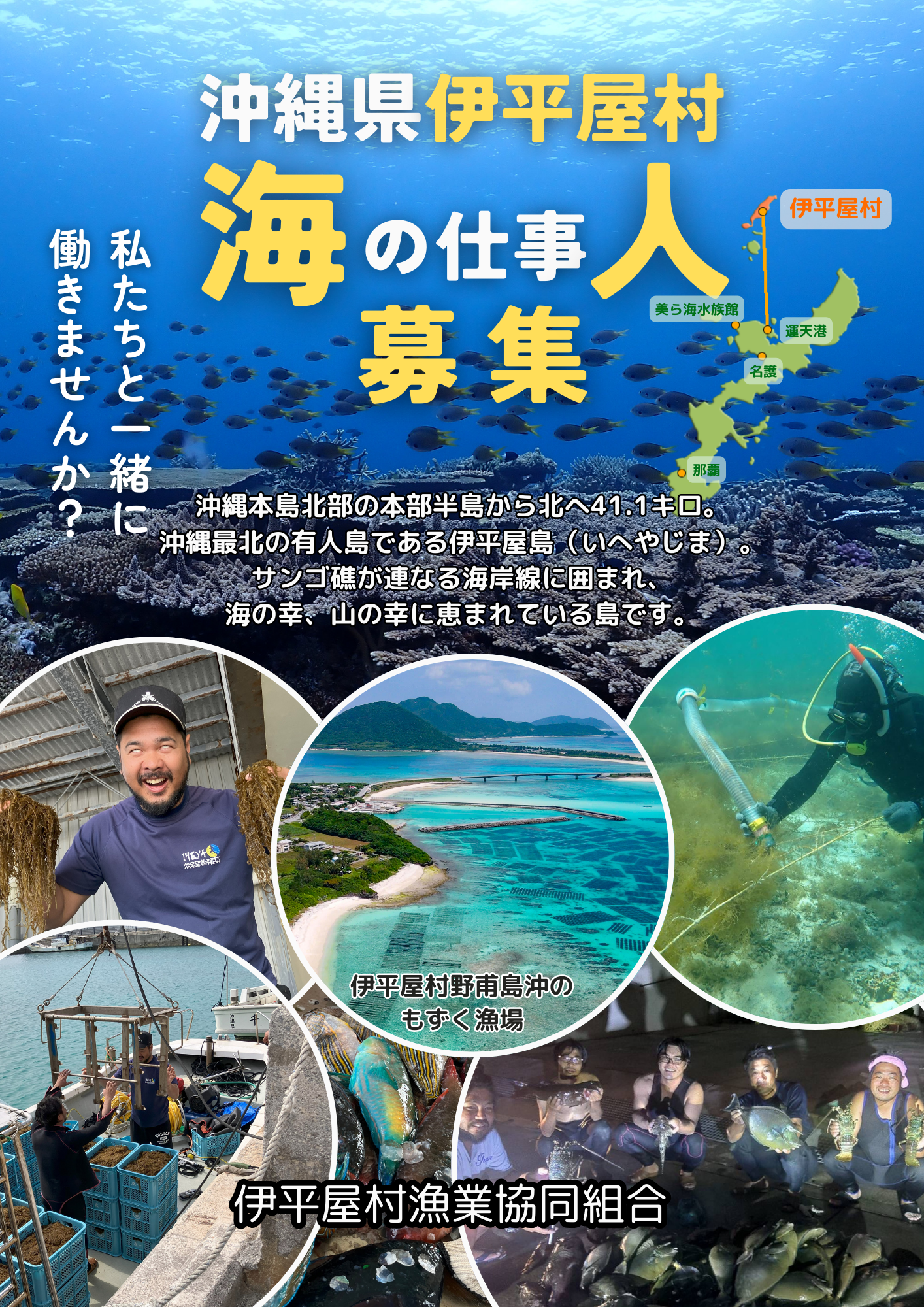 伊平屋村漁業協同組合（沖縄県にある伊平屋島で海人（漁師）を目指しませんか?!）の写真