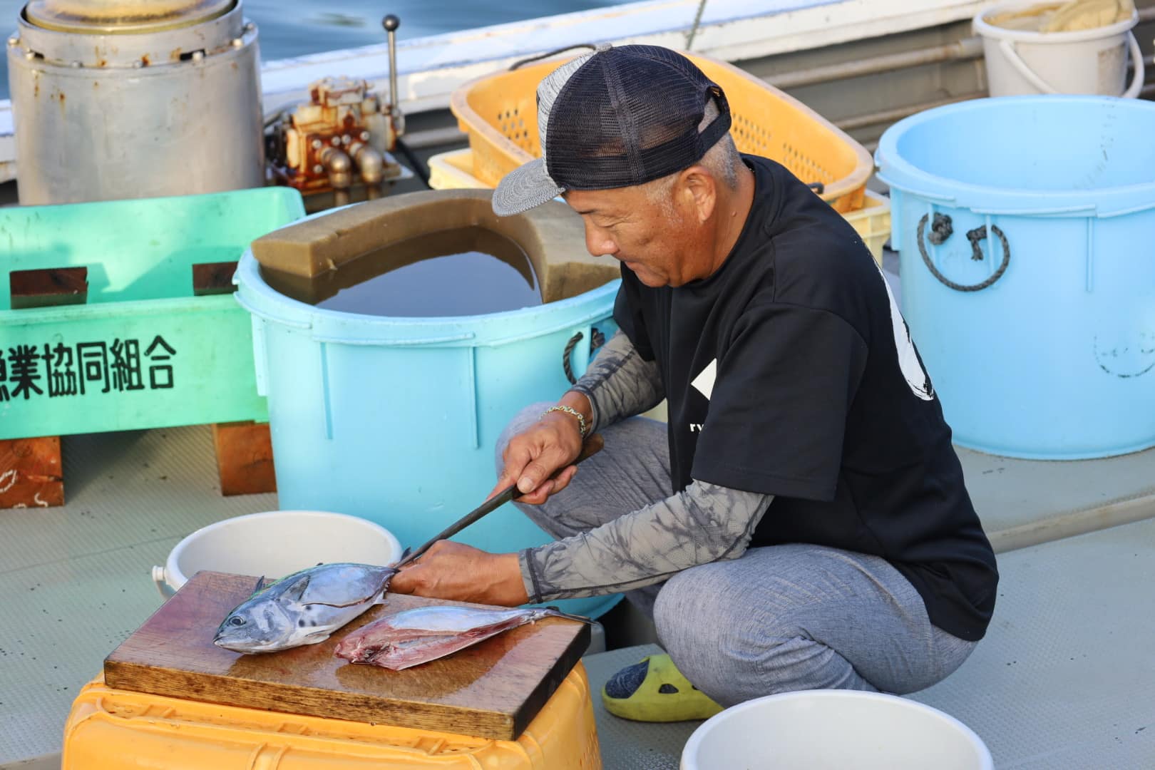 朝ごはんの魚をさばいてくれる船頭さん