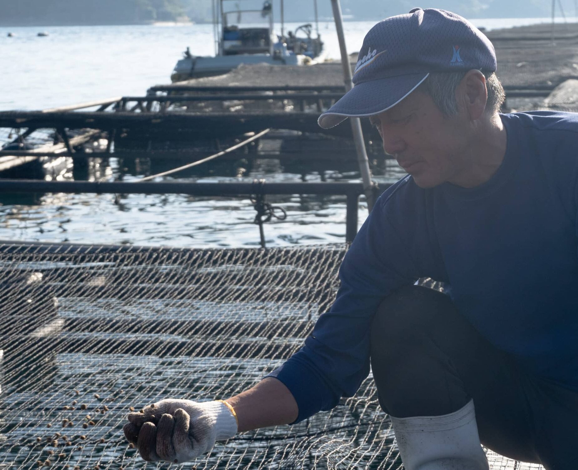 研修から着業までサポート【まつうら漁業伝習所（長崎県松浦市）：養殖