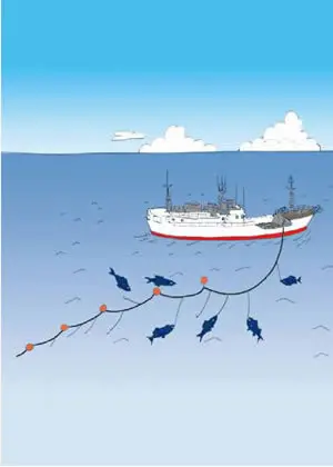 近海マグロはえ縄漁
