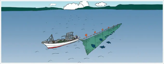 刺網漁のイメージ