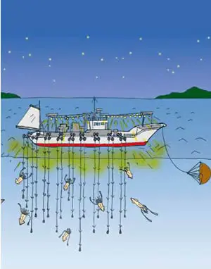 沖合イカ釣り漁のイメージ
