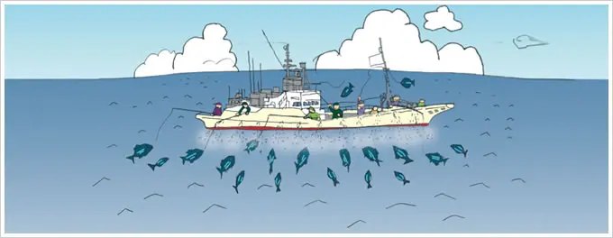 近海カツオ一本釣り漁のイメージ