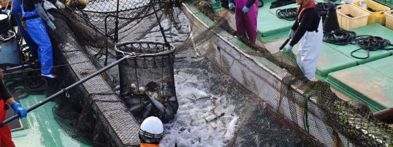 漁業