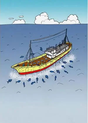 近海カツオ一本釣りイメージ