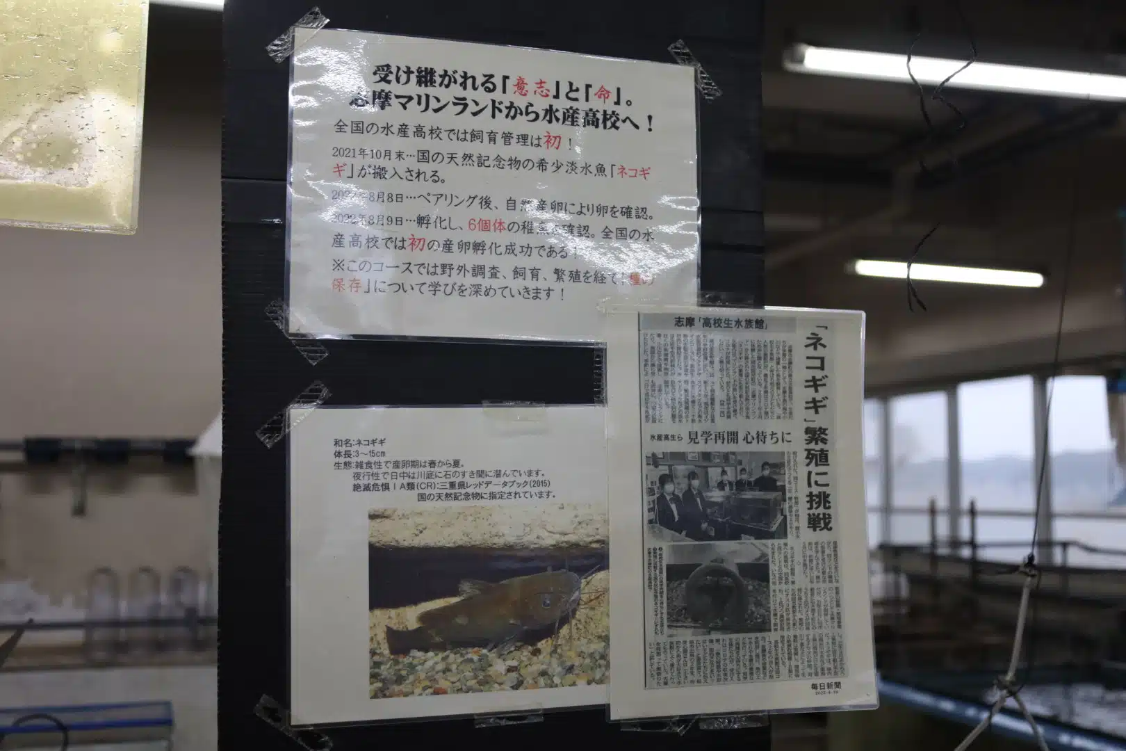 三重県立水産高等学校